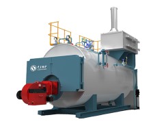 wns boiler